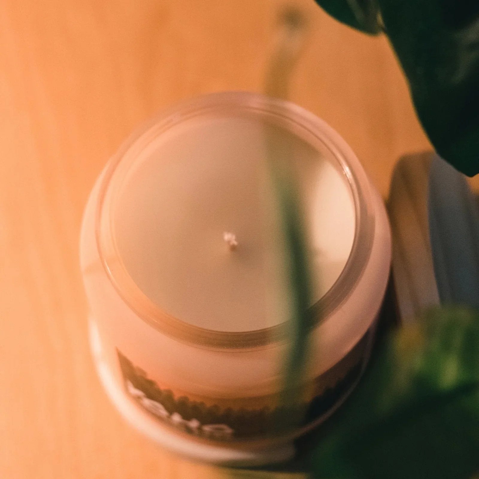 Yoho National Park Magnolia Mulberry scented candle on wood surface with soft lighting