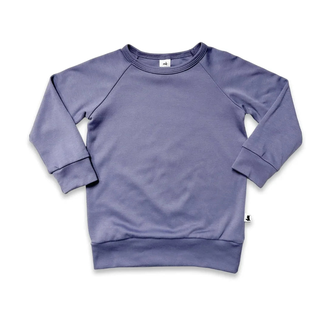 Purple long sleeve crewneck sweatshirt on white background, kids casual clothing