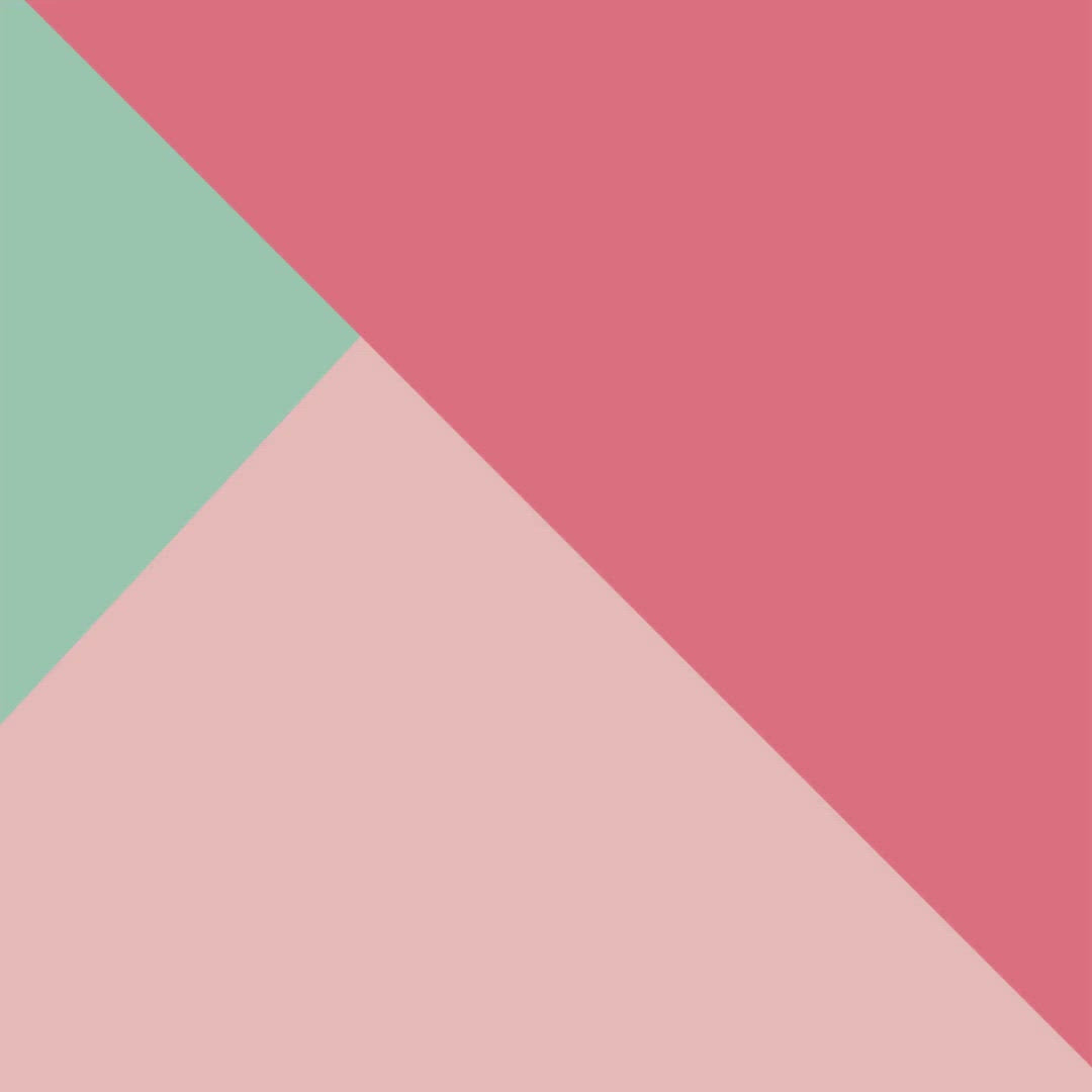 SpyderWeb Archery Paper Reversible Spot Target by@Vidoo