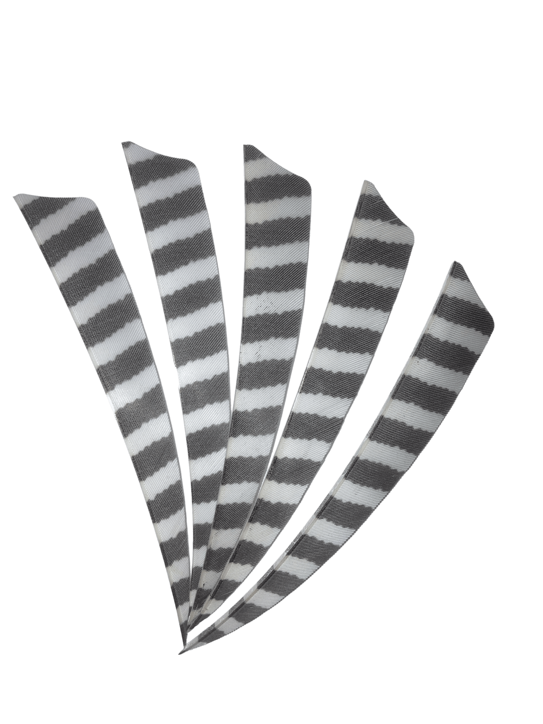 Five black and white barred right wing archery feathers fanned on a black background