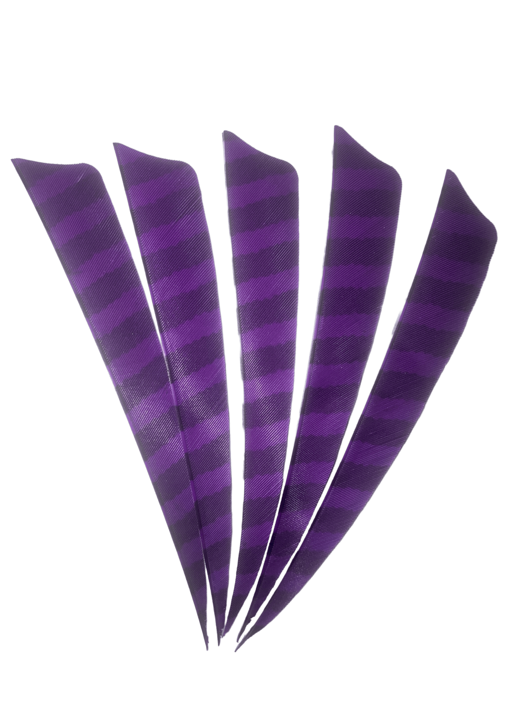 Five purple barred right wing archery feathers fletching on black background