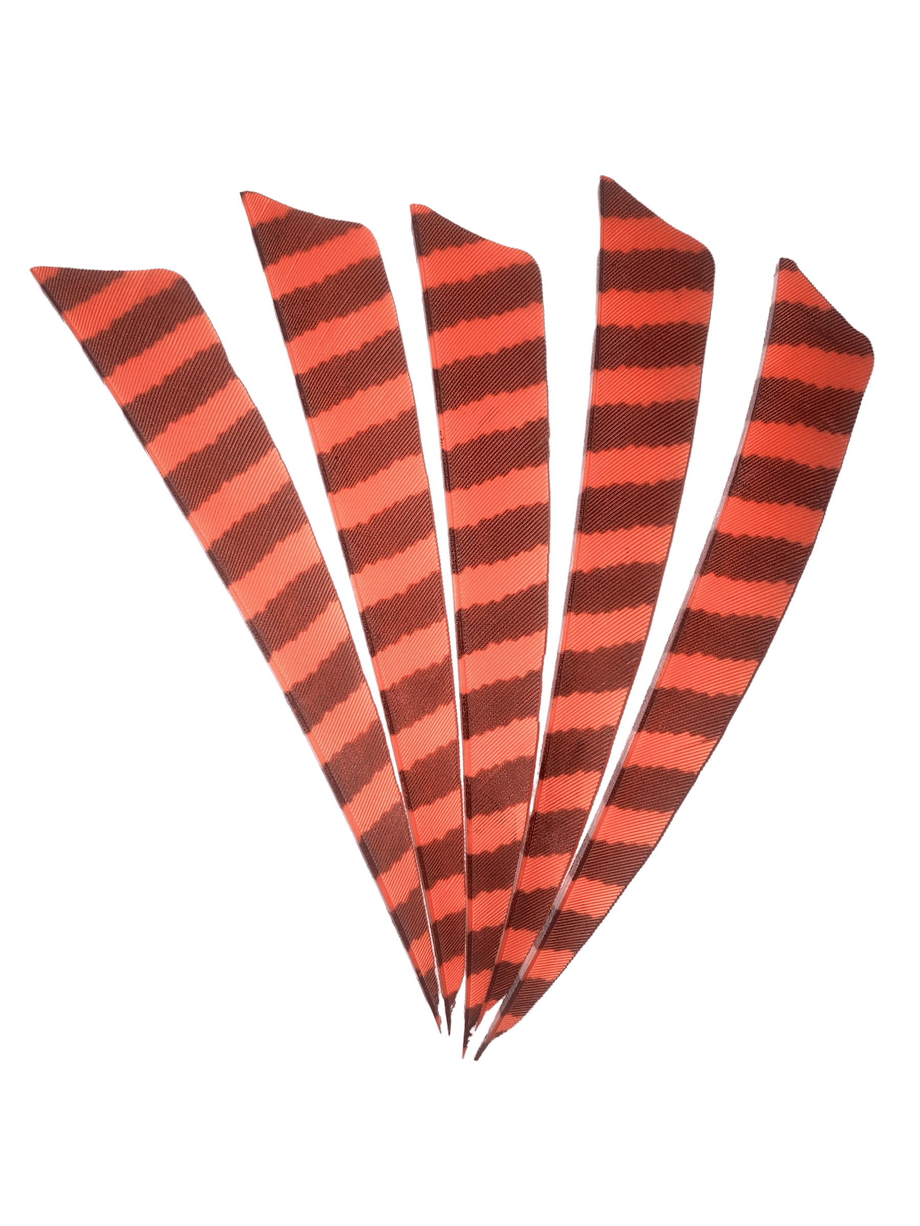 Five orange and black barred right wing archery feathers fanned out on black background