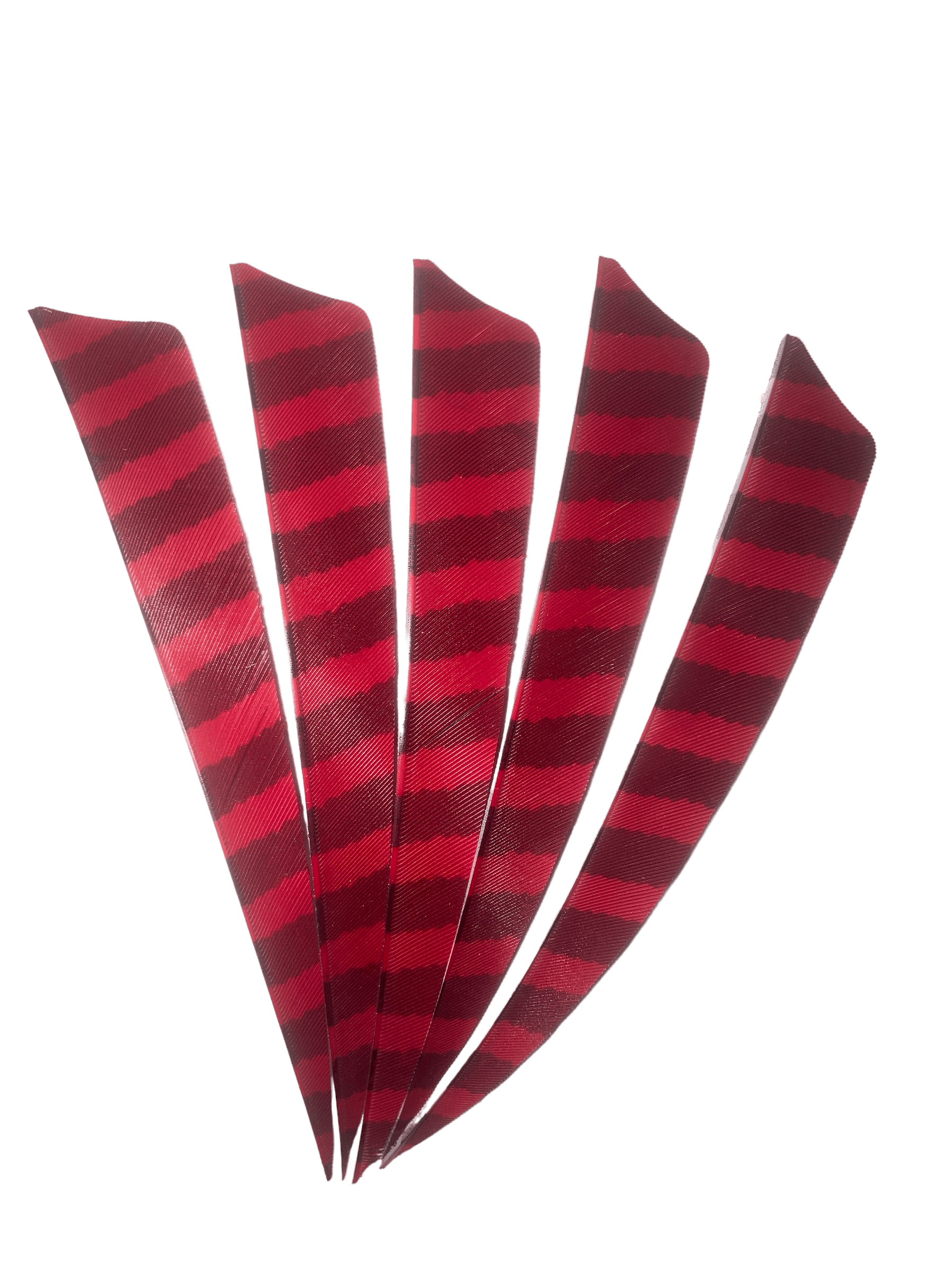 Five red and black barred right wing archery feathers arranged on black background