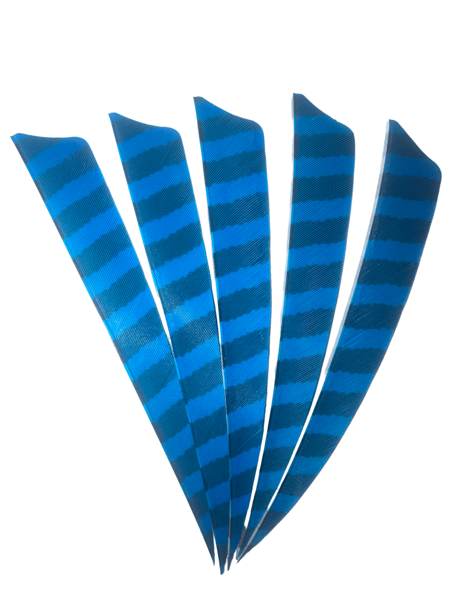 Blue barred right wing archery feathers fanned out on black background