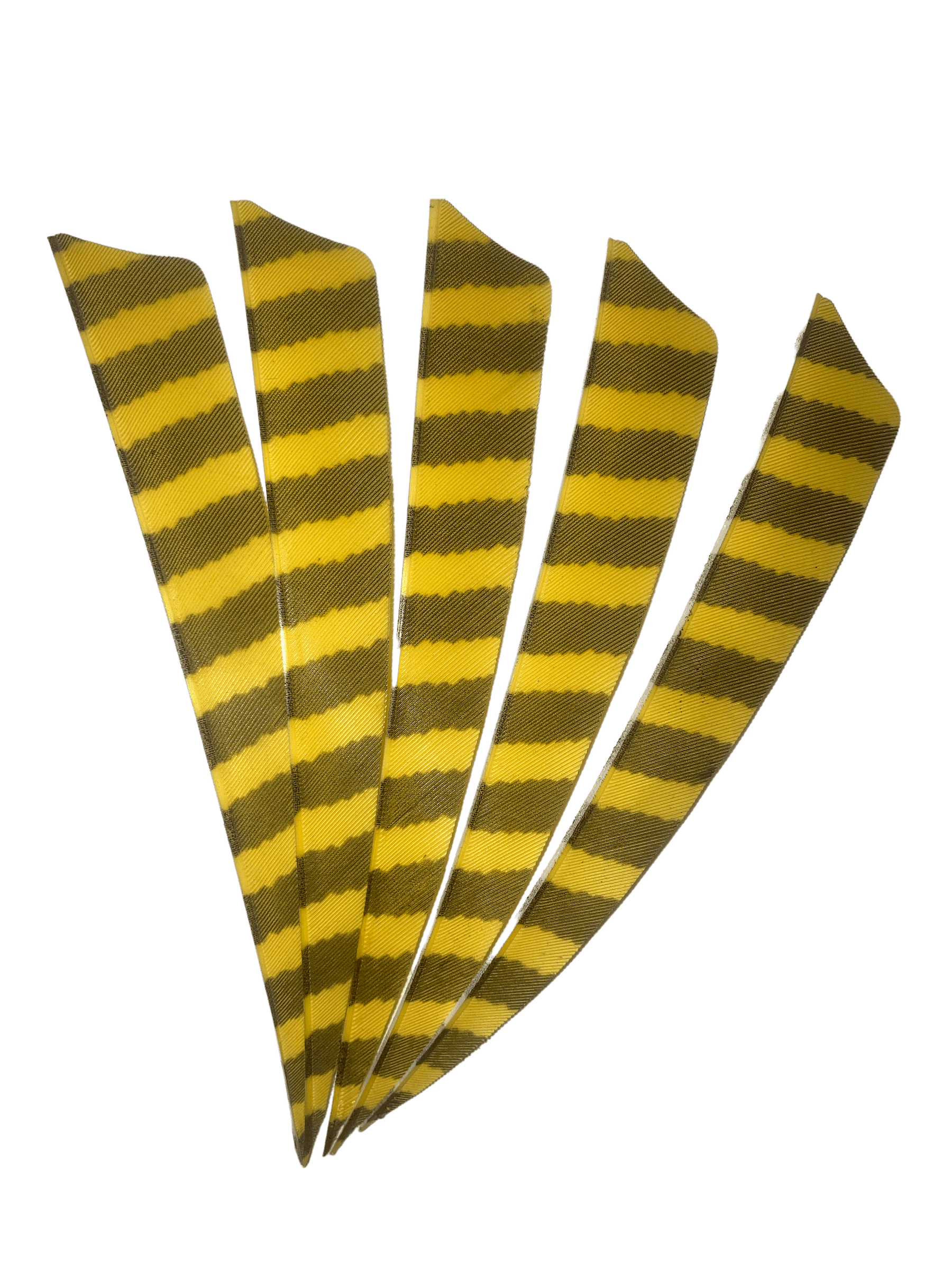 Yellow and black barred right wing archery feathers fanned on a black background