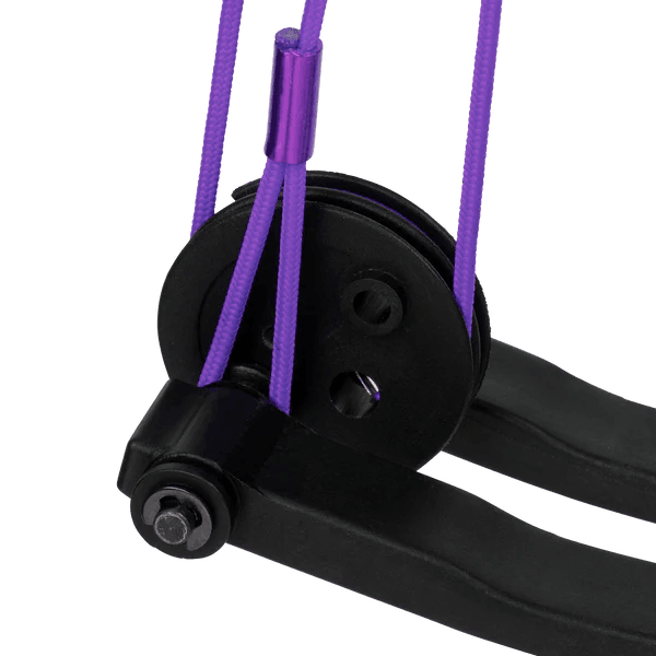 Close-up of Bear Archery Brave RH youth bow with purple strings and black pulley system