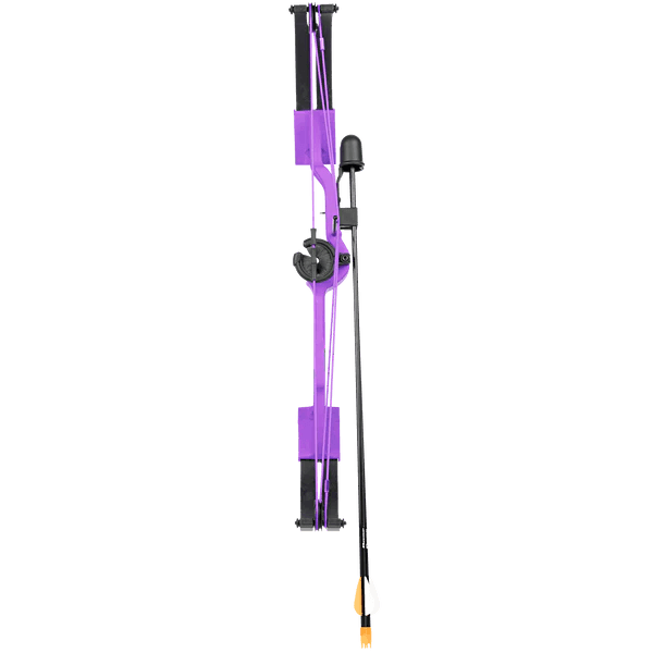 Bear Archery Brave RH youth compound bow in purple with arrow, isolated on white