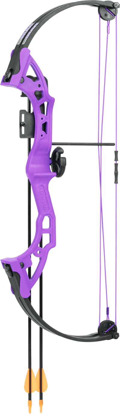 Bear Archery Brave RH youth compound bow in purple with two orange-tipped arrows