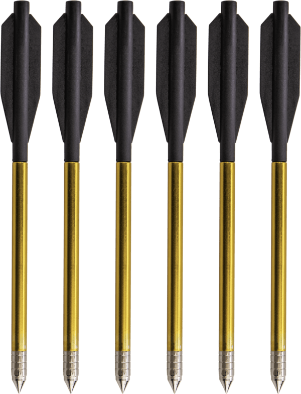 Six gold and black Bear Archery Desire mini crossbow bolts in a row on white background
