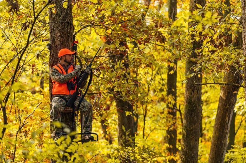 Hunter in blaze orange safety vest and cap sitting in tree stand with rifle in autumn forest