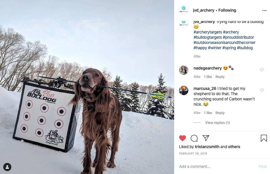Dog standing next to Bulldog archery Doghouse FP target in snowy outdoor setting