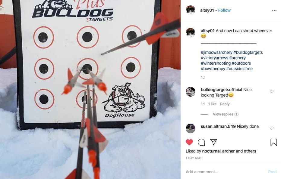 Bulldog DogHouse archery target with arrows outdoors in snow