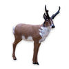 Delta McKenzie Archery Antelope Backyard 3D Target - Leapfrog Outdoor Sports and Apparel