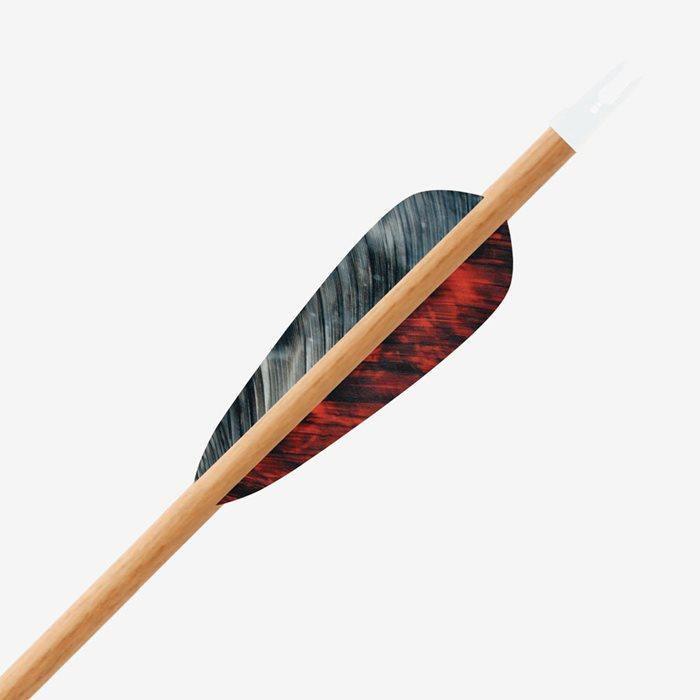 Wooden traditional arrow with red and black feather fletching on white background