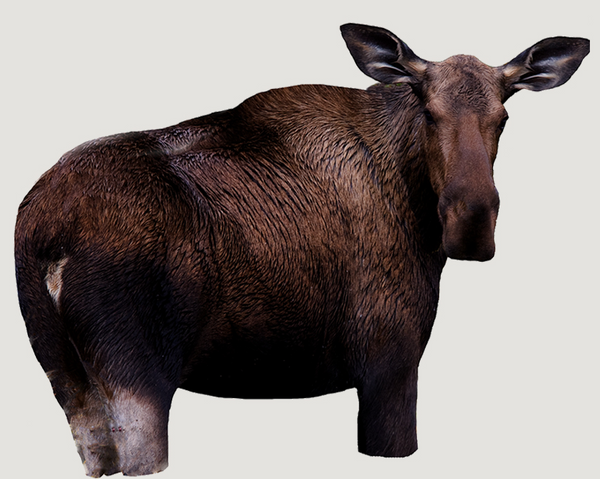 Montana Decoy Co Moose II Decoy - Leapfrog Outdoor Sports and Apparel