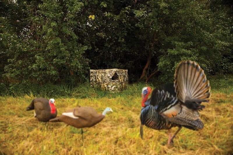 Primos Double Bull SurroundView hunting blind in a field with turkey decoys and a wild turkey