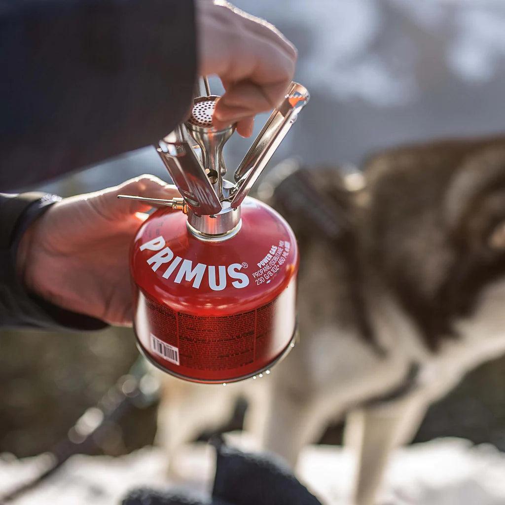 Primus campsite backpacking stove in use outdoors with a dog in the background