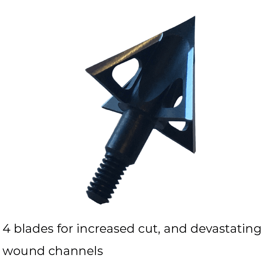 Tooth of the Arrow V-Series 4-blade broadhead for archery, close-up on gray background