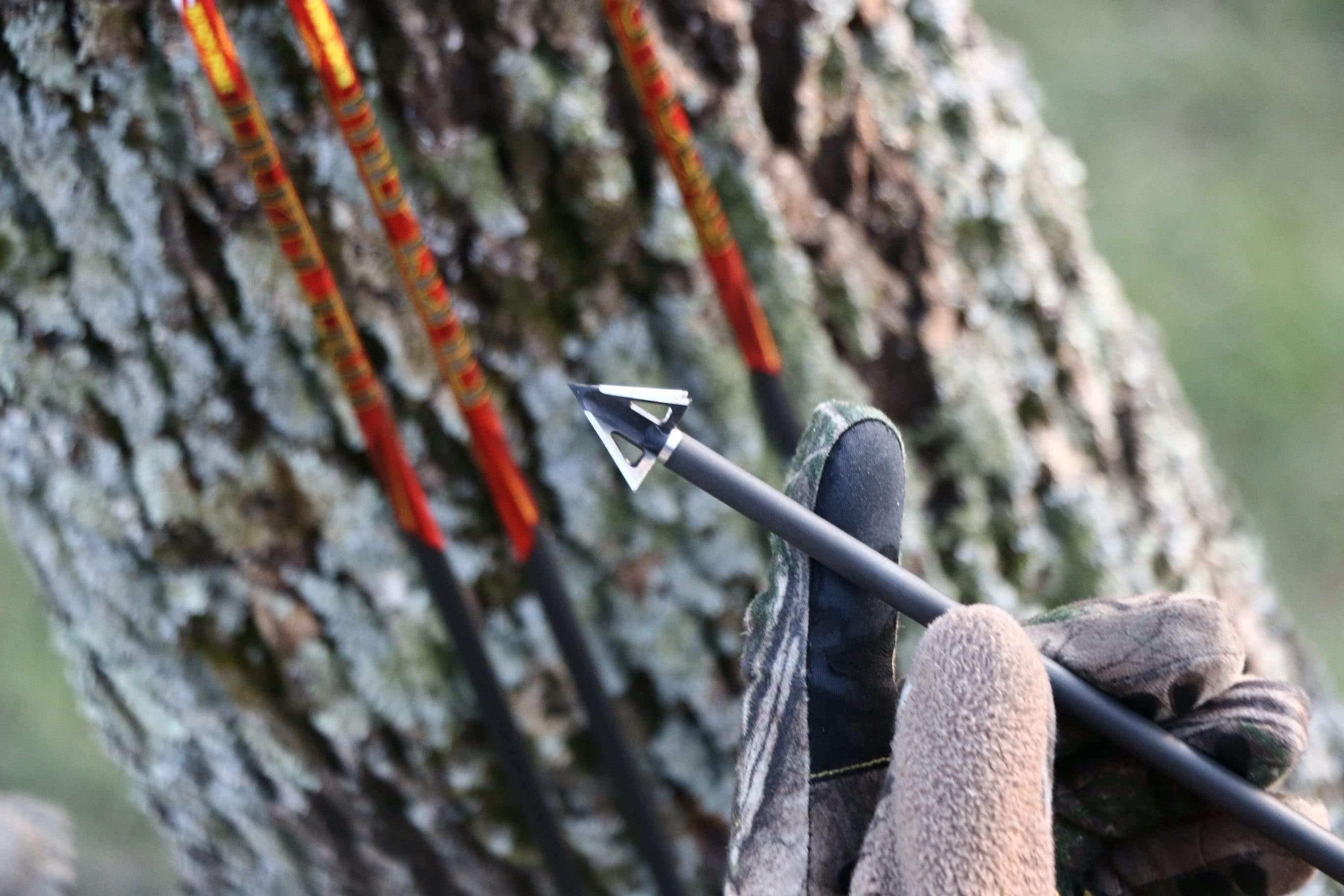 Gloved hand holding a 4-blade broadhead arrow by a tree with red arrows nearby outdoors
