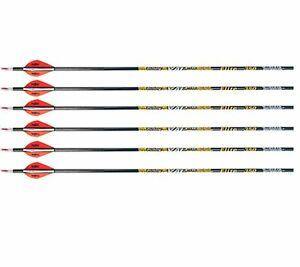Victory Archery .166" VAP Fletched Arrows - 6 Pack - Leapfrog Outdoor Sports and Apparel