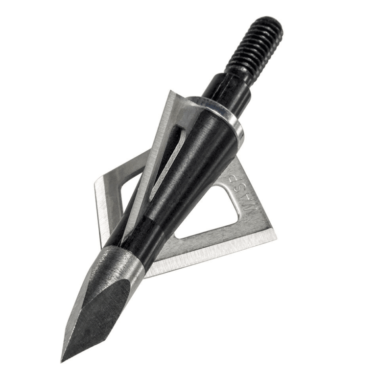 Wasp Archery Boss 3-blade broadhead with sharp stainless steel blades close-up