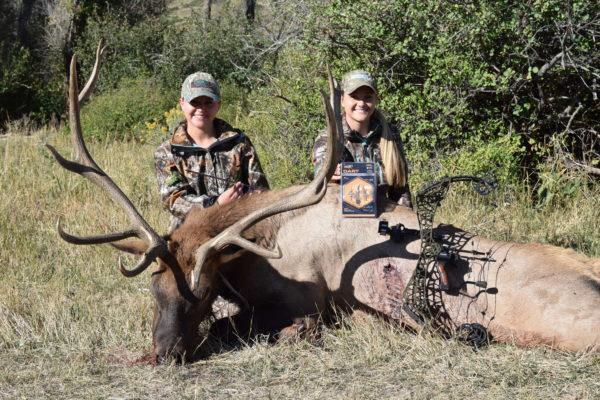 Two hunters in camouflage pose with a harvested elk and a compound bow outdoors.
